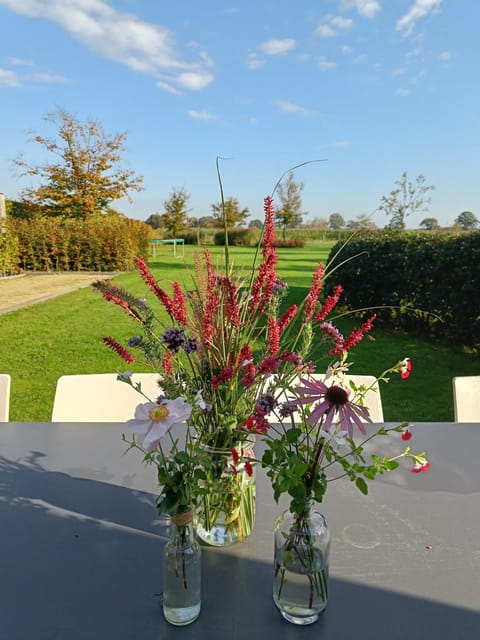 Garden, Garden view