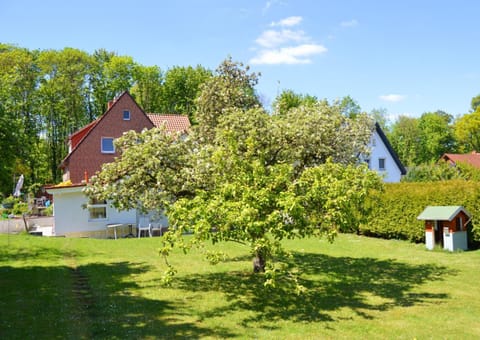 Natural landscape, Inner courtyard view