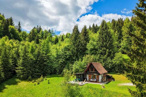 Property building, Natural landscape, Garden, Garden view