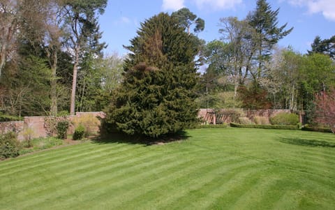 Property building, Garden, Garden