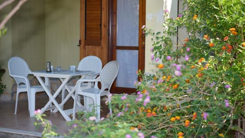 Patio, Dining area