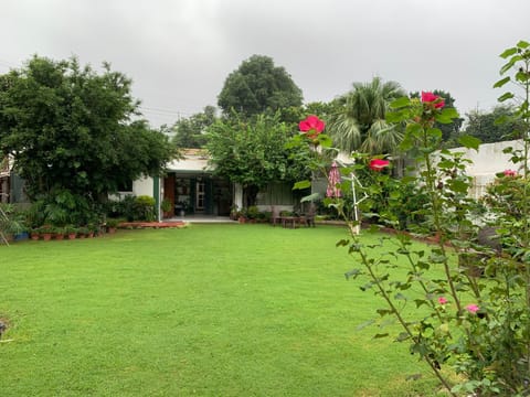 Day, Natural landscape, Garden, Garden view