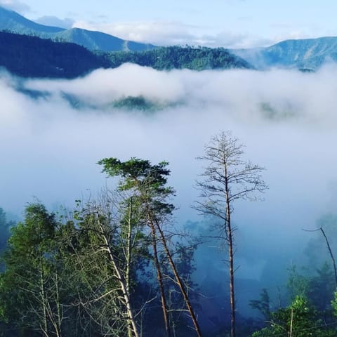 Landmark view, Mountain view