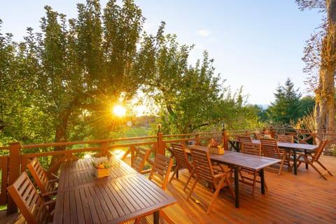 Property building, Garden, Balcony/Terrace