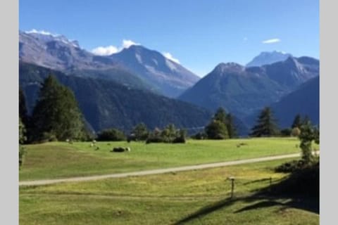 Idyllisches Chalet inmitten der Walliser Bergwelt Apartment in Canton of Valais