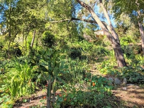 Hillmont paradise Apartment in Oakland