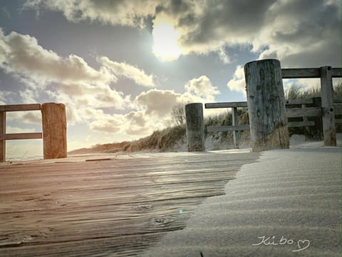 Natural landscape, Beach