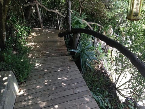 Mad About Saffron Apartment in Eastern Cape