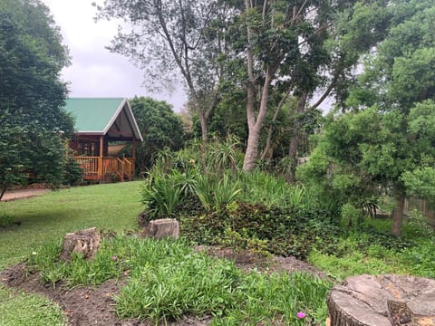 Mad About Saffron Apartment in Eastern Cape