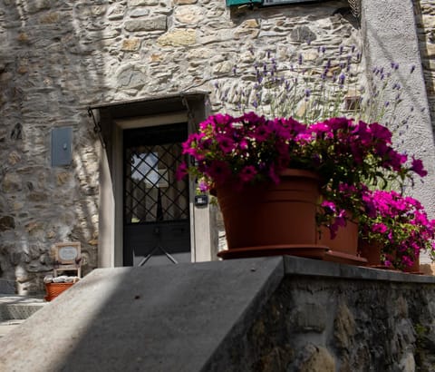 Casina Matilde Apartment in Liguria