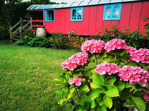 La Maison des Oiseaux. Roulotte Bed and Breakfast in Arras