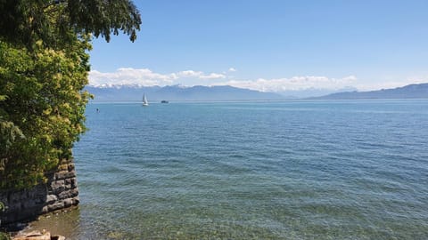 HAUS WALD und SEE - WASSERBURG Apartment in Lindau