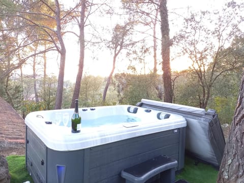 GITE AVEC SPA JACUZZI au cœur de Provence Côte d'Azur House in Lorgues