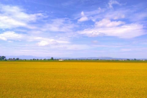 Landmark view, Street view