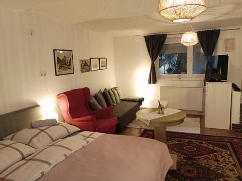 Studio in Altstadthaus Apartment in Carinthia, Austria