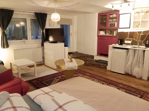 Studio in Altstadthaus Apartment in Carinthia, Austria