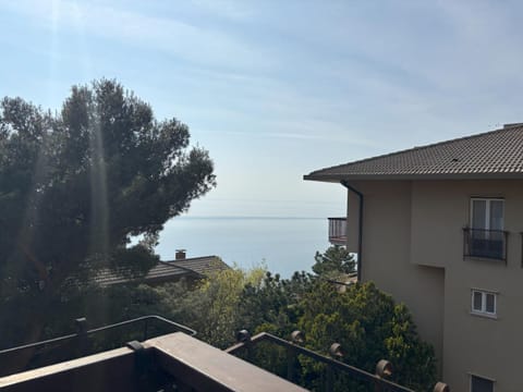 Affitto Turistico Via Bonomea 219-1 Apartment in Trieste