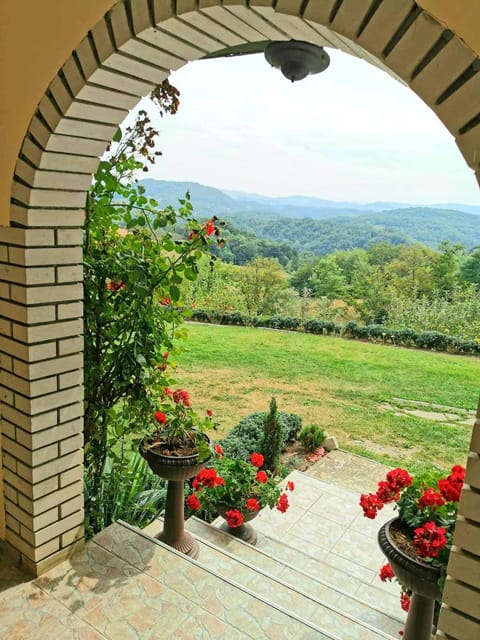 Garden, Mountain view, Inner courtyard view