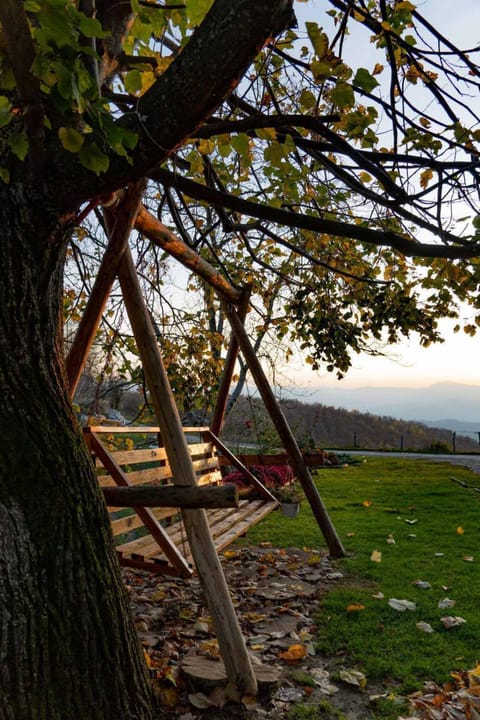 Garden, Inner courtyard view