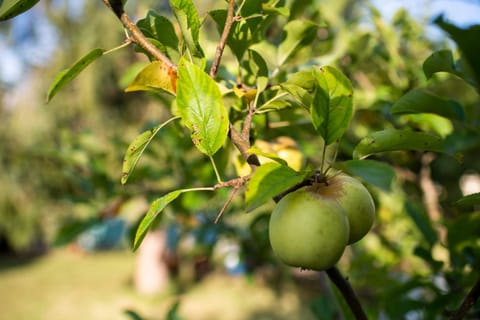 Apartamentos en Playa Canelas Apartment in Portonovo