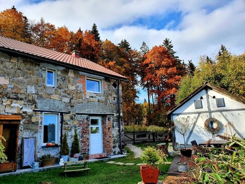 Property building, Garden view