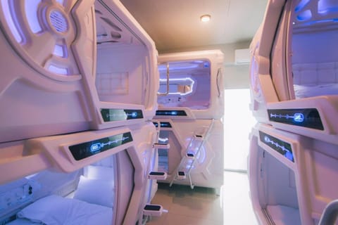 Bed, Photo of the whole room, bunk bed