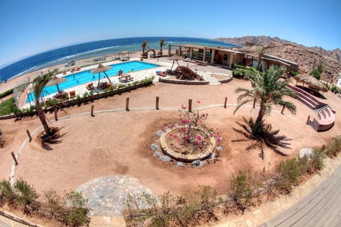 Patio, Garden, Balcony/Terrace, On site, Sea view, Swimming pool, Sunrise