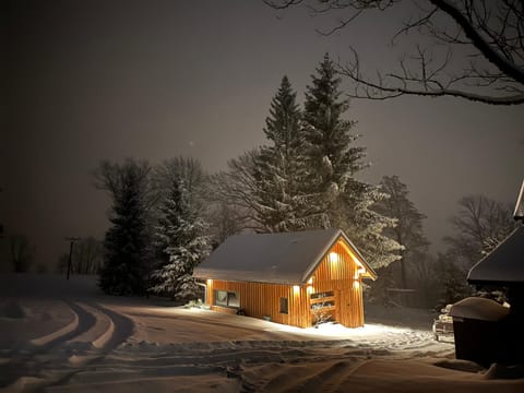 Property building, Night, Winter