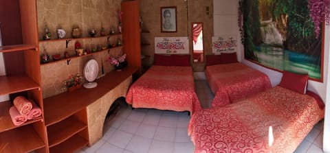 México Lindo Vacation rental in Mexico City