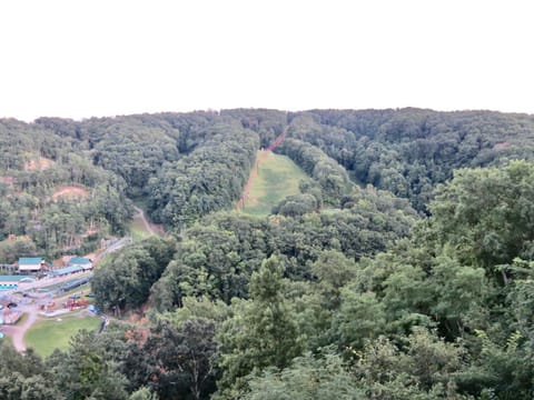 Million Dollar Views! 4 Bedroom, Sleeps 9, close to National Park and 5 mi to Gatlinburg! Chalet in Gatlinburg