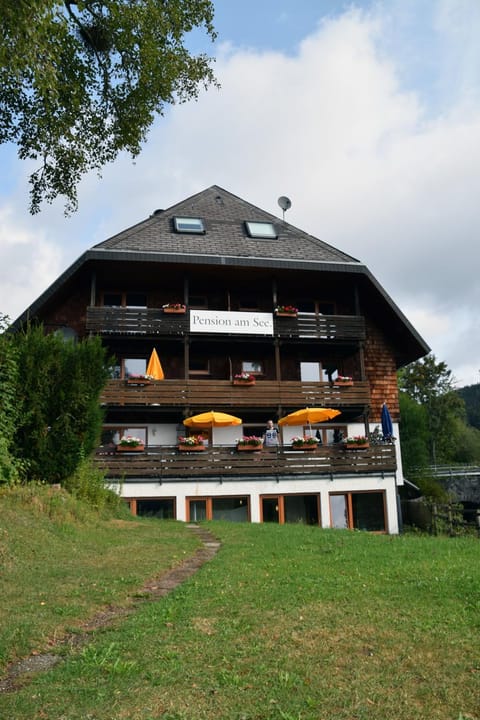 FeWo Am See Apartment in Schluchsee