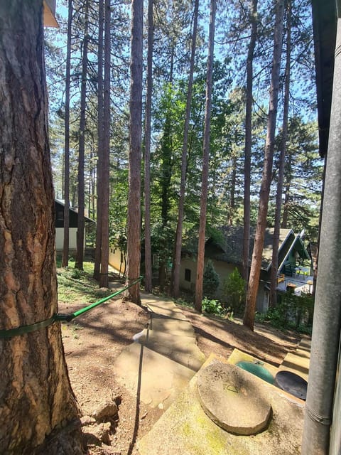 Green door 2 House in Serbia