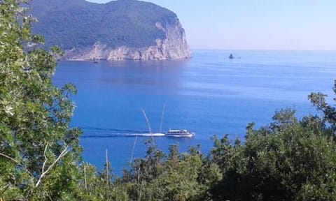 Family apartment Garden and Sea Apartment in Budva Municipality