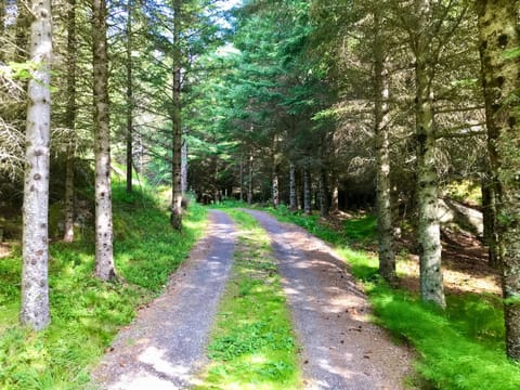 Natural landscape, Hiking