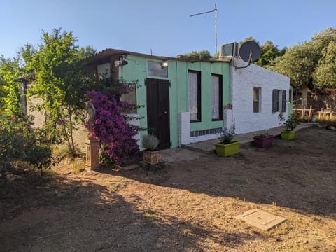 Property building, Day, Garden, Garden view