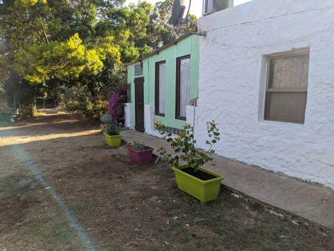 Property building, Day, Garden, Garden view
