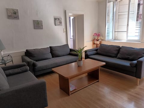 Apparemment F3 centre de MIRECOURT Apartment in Vosges