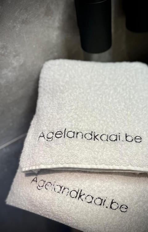 L'atique by Agelandkaai be with Free Parking Apartment in Ghent