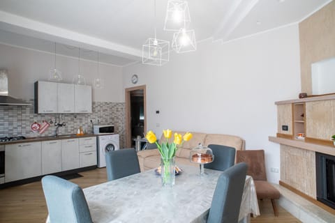 Kitchen or kitchenette, Living room, Seating area, Dining area, minibar, oven, pet friendly, stove, washing machine