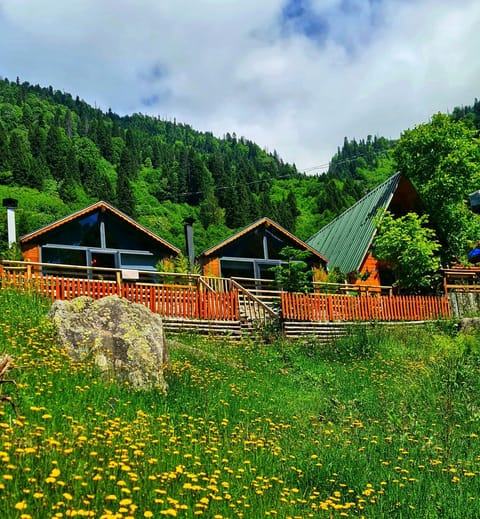 Property building, Spring, Day, Natural landscape, Mountain view