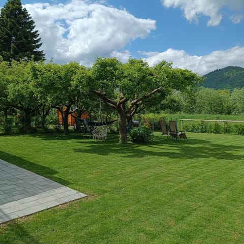 Garden, Garden view, Mountain view, sunbed