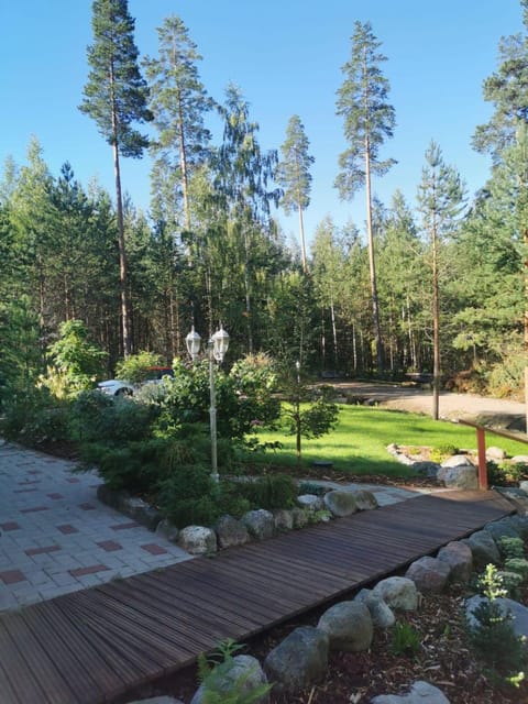 Activities, Pets, Sports, young children, older children