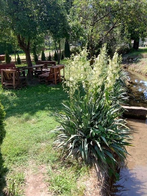 Studio Ivana 2 Apartment in Serbia