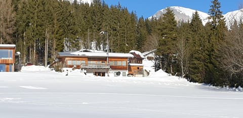 Natural landscape, Winter