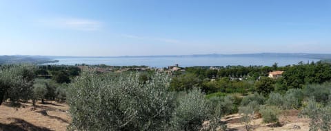 City view, Lake view