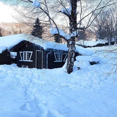 Chalet des cascades Chalet in Auvergne-Rhône-Alpes