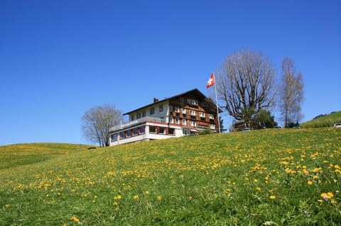 Property building, Spring, Off site, Day