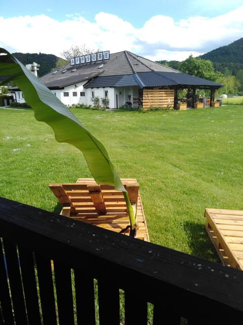 Property building, Day, Garden