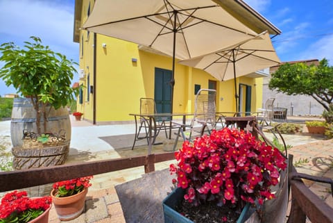 Property building, Garden