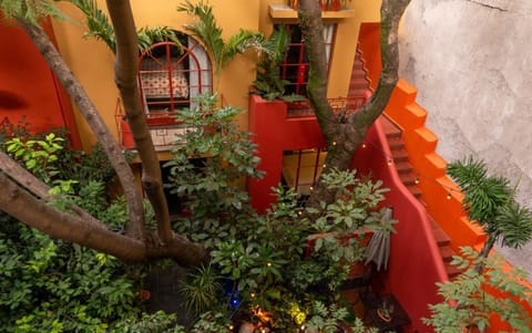 Patio, Garden